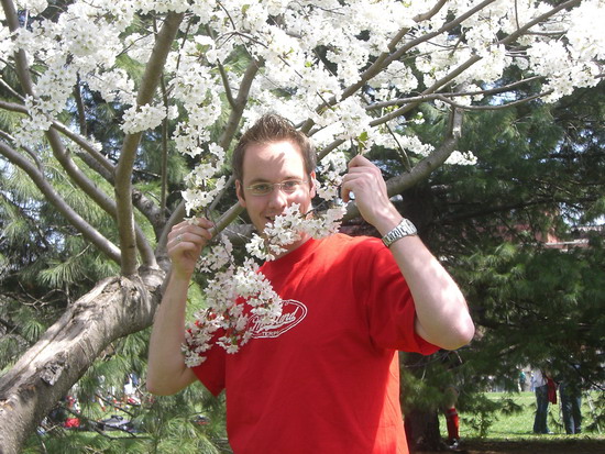 Michael mit Kirschblüten