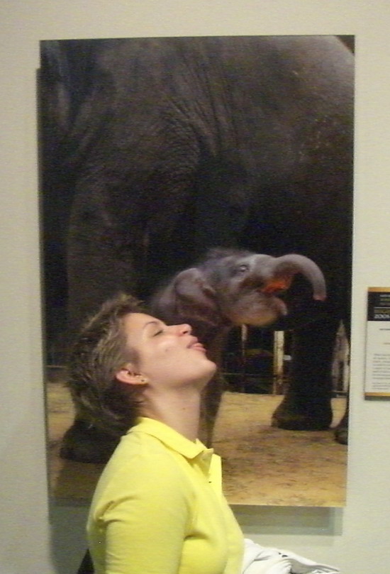 Henni und die Elefanten :-)